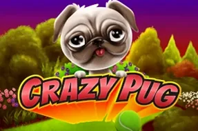 Crazy Pug